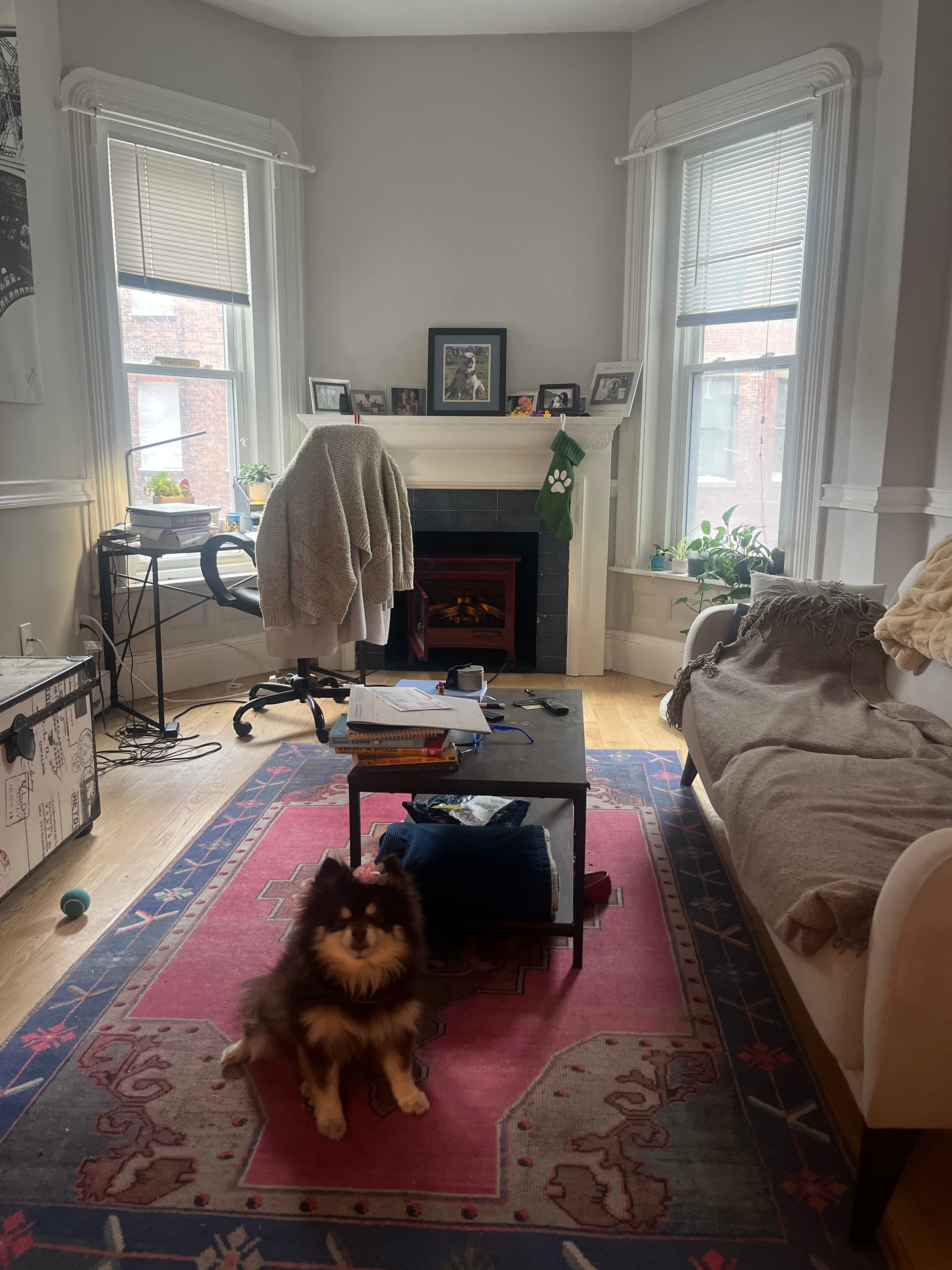 I live smack dab in the heart of Back Bay and a bl...